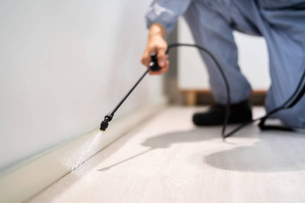 Licensed Ant Control service in Inglis, FL - Show Me Pest Control