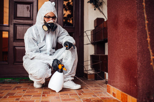 Reliable Ant Control contractor in Inglis, FL by Show Me Pest Control
